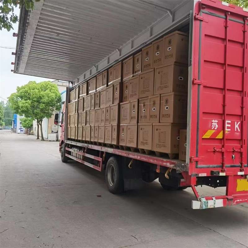 陆丰市石屏县进仓物流：专线直达的多元货运探索