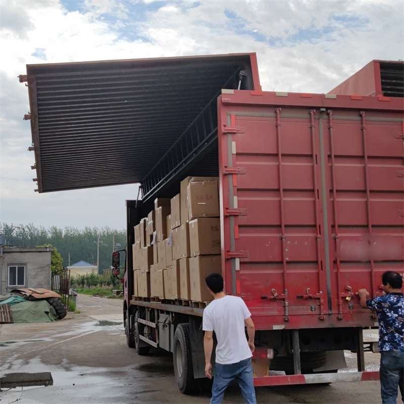 陆丰市扎囊县：物流专线的高效货运之旅
